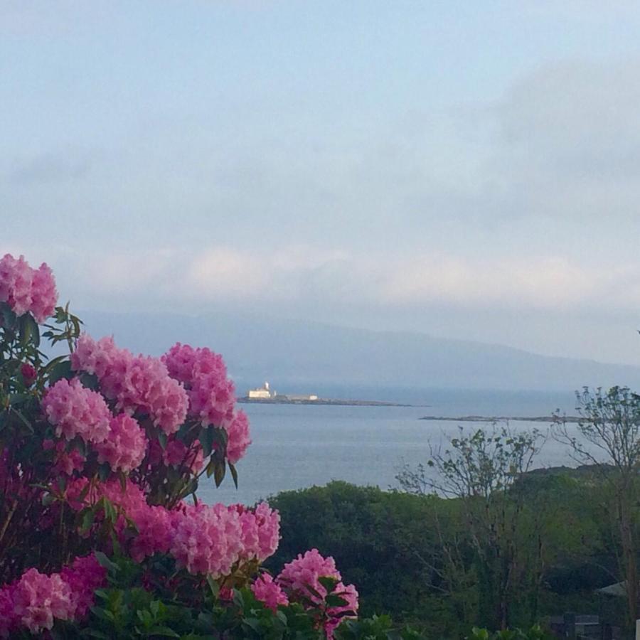 Niblick Bed & Breakfast Bantry Exterior photo